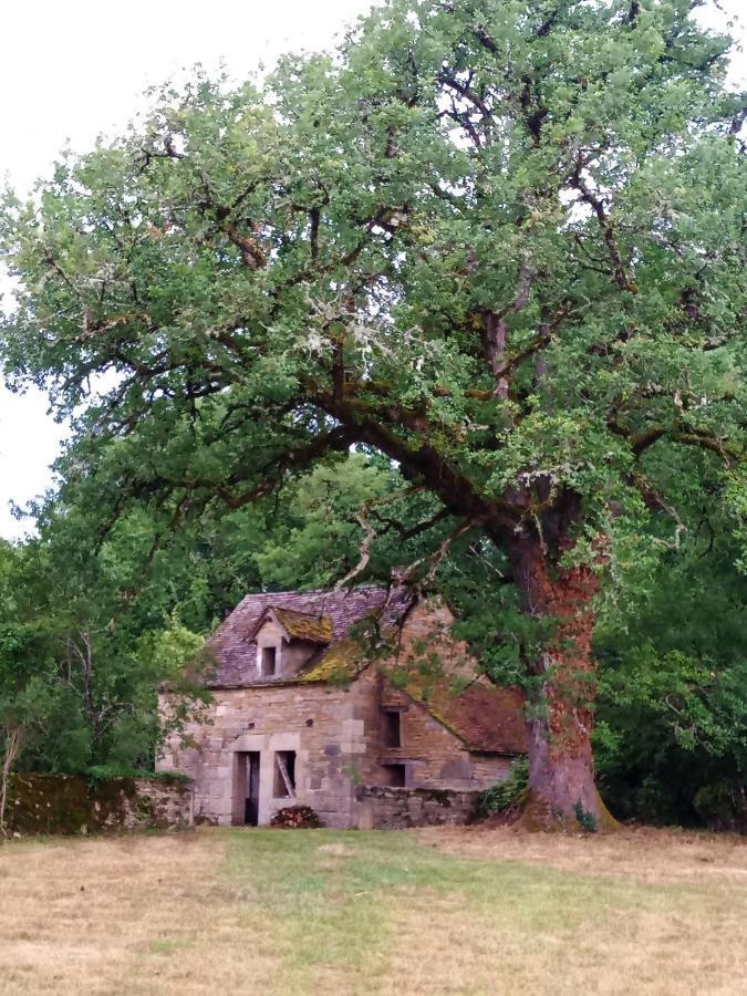 Les Granges De L Abbaye Bed & Breakfast Ginals Екстериор снимка
